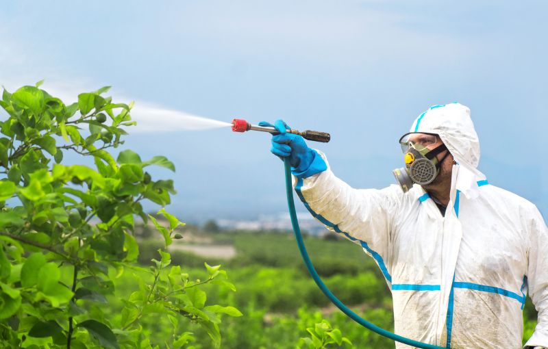 Commercial Fumigation in Davis County, UT