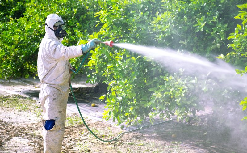 Roach Fumigation in Katy, TX