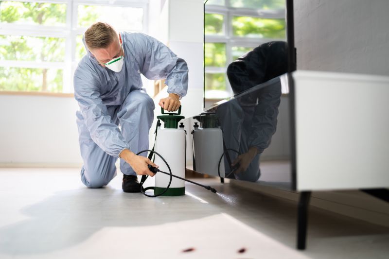 Ant Pest Control Methods That Target Colonies At The Source