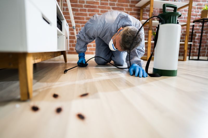 How Routine Pest Control Helps Prevent Major Infestations
